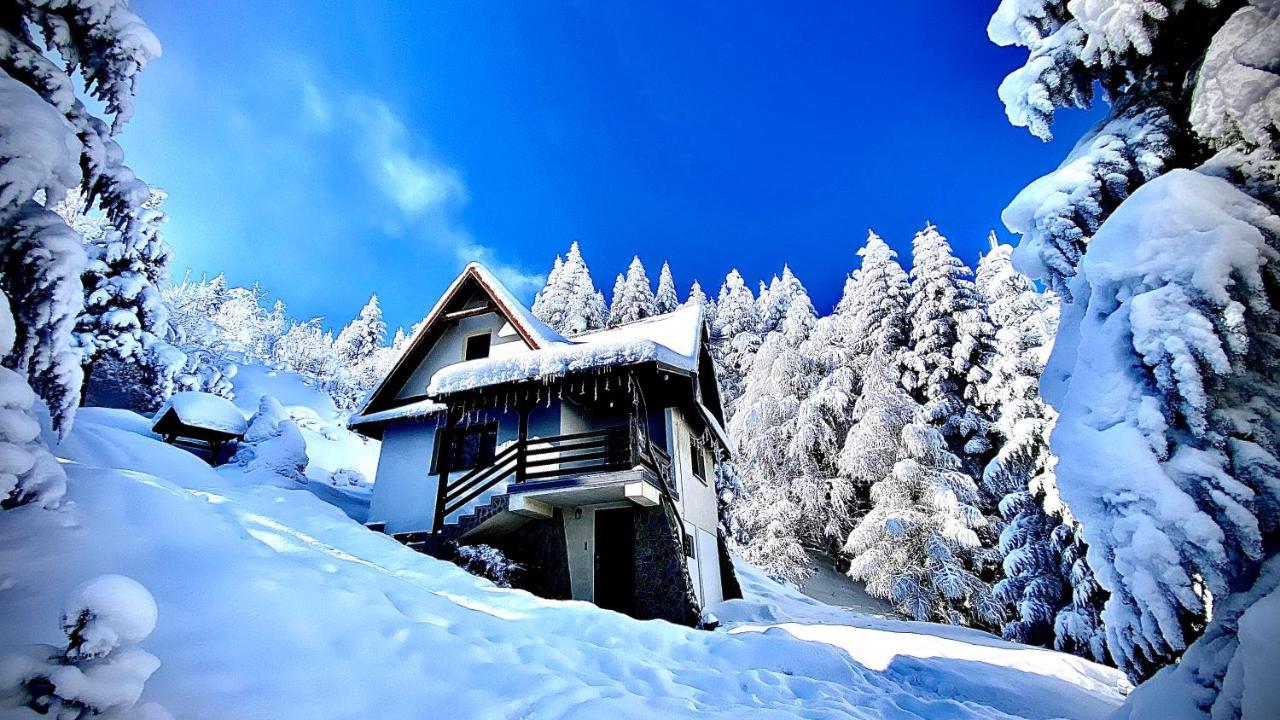Mountain Cottage Lubomierz Lubomierz  Bagian luar foto